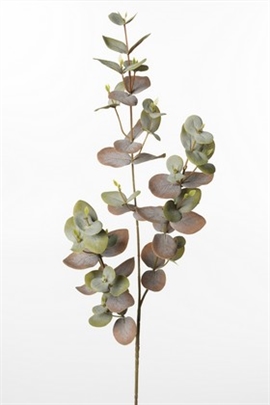 Eucalyptus gren 70 cm. oliven 